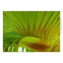 Silk Floss Palm Greeting Card