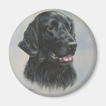 Silka Fridge Magnet