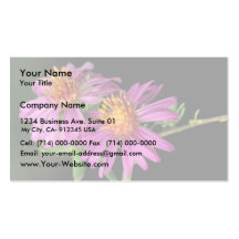 Silky Aster Business Card Templates