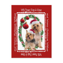 Silky Terrier Christmas Hugs and Kisses Postcard