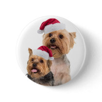 Silky Terrier Christmas Wishes