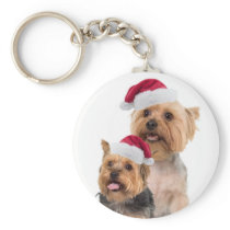 Silky Terrier Christmas Wishes