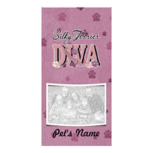 Silky Terrier DIVA Photo Card