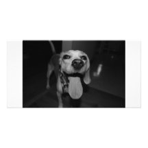 Silly Bella Photo Greeting Card