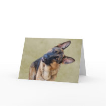 Silly Boy Cards