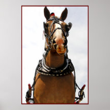 Silly Face Horse Poster