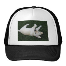 Silly Lab Puppy Mesh Hats