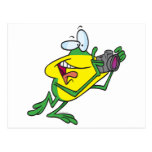 silly photographer frog cartoon post cards
