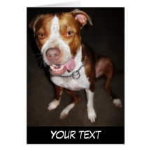 Silly Pitbull Portrait Card