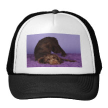 Silly Pup Hats