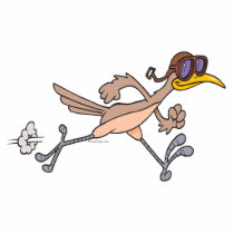 silly roadrunner bird cartoon photo cut outs