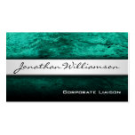 Silver Band Modern Professional Business Card