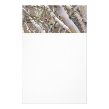 Silver Birch Stationery