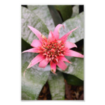 Silver Chalice Photo Print