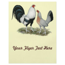 Silver Duckwing Gamefowl Flyers