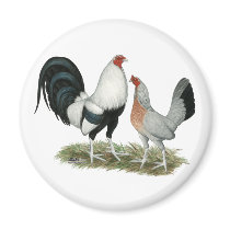 Silver Duckwing Gamefowl Refrigerator Magnets