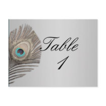 Silver Elegance Peacock Table Number Postcard