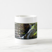 Silver Falls Calendar Mug January 2011
