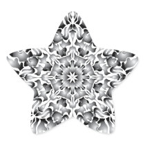 Silver Flame Star Stickers