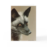 Silver Fox Card