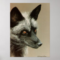 Silver Fox on canvas Posters