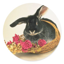 Silver fox rabbit named Boris flowers Round Sticker