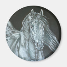Silver Fridge Magnets