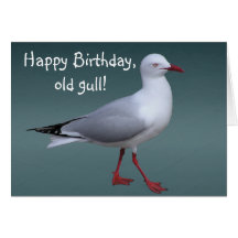 Silver Gull Card