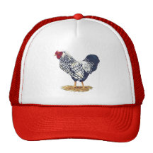 Silver Laced Wyandotte Rooster Hat