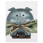 Silver Piggy Bank Eating Money Flyers