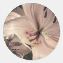 Silver Pink Lilly Wedding Invitation Seals Sticker