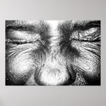 SILVER PRINT