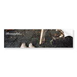Silver Salmon or Coho Salmon Catch Bumper Sticker