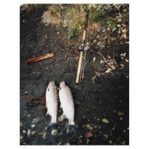 Silver Salmon or Coho Salmon Catch Flyer