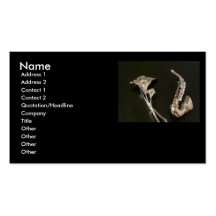 Silver Saxophone and Flower Business Card Templates