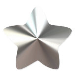 Silver Shining Star Stickers