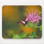 Silver spotted skipper on Wild bergamot Mouse Pad