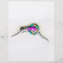 SILVER SWIMMER FULL COLOR FLYER