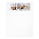 Silver Tabby Cat Letterhead letterhead