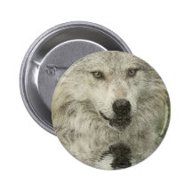 Silver Wolf Pencil Illustration Drawing Pins