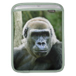 Silverback Gorilla iPad Case Sleeve For iPads