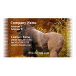 Silverback Gorilla Photo Business Card