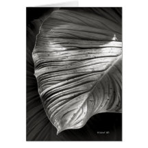 Silvertone Leaf Card