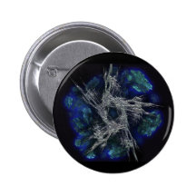 silverweb star pins