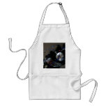 silvery Magic Aprons