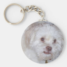 Simba Keychains
