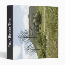Simeonof island binder