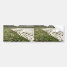 Simeonof island bumper sticker