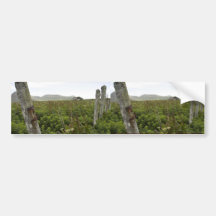 Simeonof Island Bumper Sticker