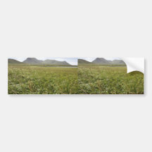 Simeonof Island Bumper Stickers